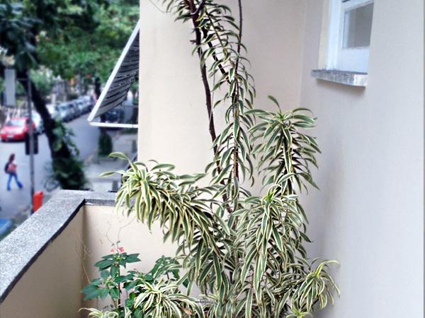 Luiz Leblon Guest House Rio de Janeiro Ngoại thất bức ảnh